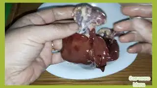 Куриная Печень и ❤️ с Макаронами Ролтон🇺🇦 Готовлю Ужин в Экстремальных Условиях