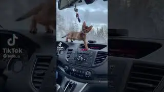 Едем едем в соседнее село