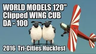 World Models 120” Clipped Wing Cub with DA-100L