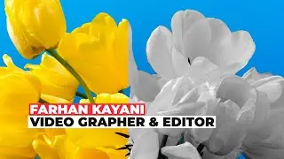 Yellow Tulips Color Isolation Effect | Leave Color Effect in Adobe Premiere Pro