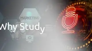 Examples of Impact and Value of Marketing
