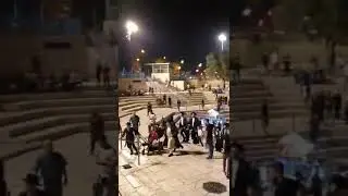 Тўнғиз ва маймунлар