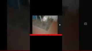 снемаю котиков мяв мяв мяв под музыку