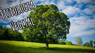 Fisiologia vegetal - absorção, condução e transpiração