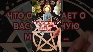#таро #+393929906674 #будушее #tarot #таролог #судьба #мчд#таромания#чтодумает#мысли #любит #tarot#