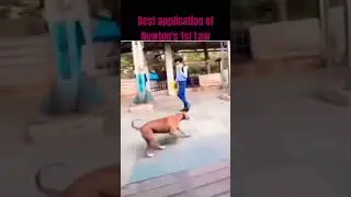 Best application of Newton's 1st Law  #shorts