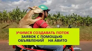 Как создать поток входящих заявок на Авито. Настройка профиля Авито.