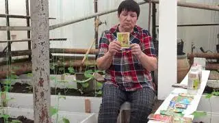 Томаты, подготовка к высадке (2019)  Лебедева Зоя   ,