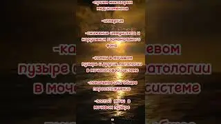 Как возникает цистит #shortsvideo #shorts_ #shortsyoutube #цистит