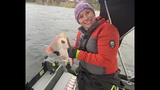 Piggskate i Oslofjorden?