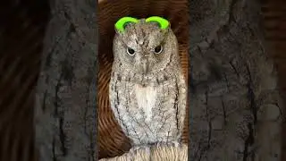 Очки напялили))) ждём солнца 😎 