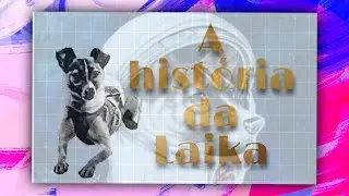 #curiosidade   a história da laika