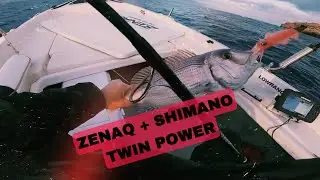ΦΑΓΓΡΙ 2kg ΜΕ ΜΕΓΑΛΗ ΣΙΛΙΚΟΝΗ + ΓΝΩΜΗ ΓΙΑ SHIMANO TWIN POWER  8000 #Zenaq #shimano