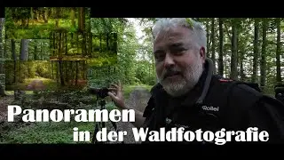 WALDFOTOGRAFIE | Panoramen in der Waldfotografie