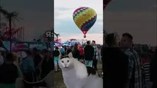 Ни на входе на фестиваль, ни онлайн в продаже больше не будет 🤯