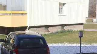 Click this: Snow in April?