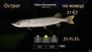 рр4! Острог Щука на живца)))