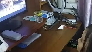 Полина и Лиза играют в мортал комбат #@videoblooog #mortal #mortalkombatmobile