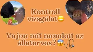 Vajon mit mondott az állatorvos? | 𝐻𝐴𝑙𝑖