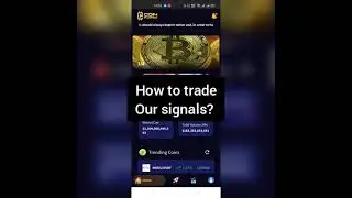 How to trade our trading signals?