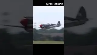 P-40 Warhawk low and loud at WWII Weekend #ww2 #wwii #airplanes #airshow #warbirds
