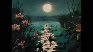 Sad Night Lofi