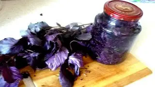ЭТОТ РЕЦЕПТ ЗАГОТОВКИ БАЗИЛИКА ПОКОРИЛ ВСЕХ!Простое со вкусом базиликовое масло для заправки салатов