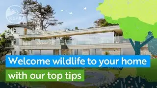 How to make this Omaze dream house nature friendly | RSPB