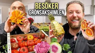 BESÖKER GRÖNSAKSHIMLEN | DRÖMMEN OM EN RESTAURANG I STOCKHOLM DEL 3 | ROY NADER