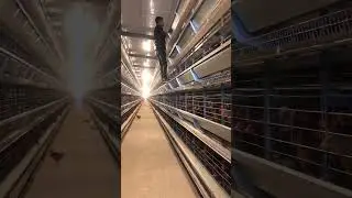 HIGHTOP Automatic Layer Equipment