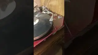 Rex Orange County-REX (INTRO) 33 1/3 rpm