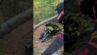Алексей в паре с регулем оказался ползучим 😃 