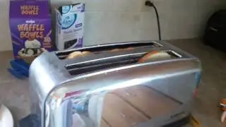 Watching toast pop up and making me scream so hilarious