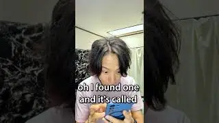 Proof Japan Is Messed Up