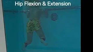 Hip Flexion & Extension in water