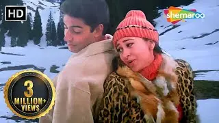 Hum Yaar Hain Tumhare | Haan Maine Bhi Pyaar Kiya (2002) | Abhishek Bachchan| Karishma Kapoor 