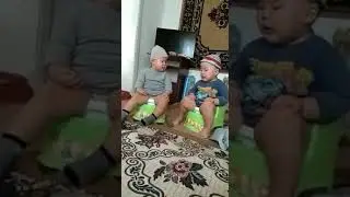 Два малыша разговаривают на горшках.