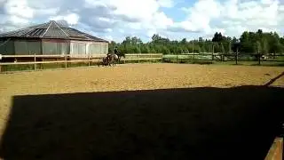 VID 20170625 WA0003