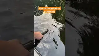 Поймал и отпустил #рыбалка #поймалотпусти #fishing #малыереки #рыбак #голавль #спиннинг #сплав