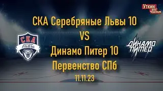 СКА Серебряные Львы 10 - Динамо Питер 10, 11.11.23, Первенство СПб
