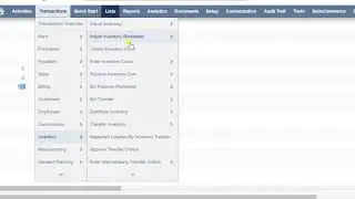 Inventory Adjustment in NetSuite | NetSuite Solution Provider