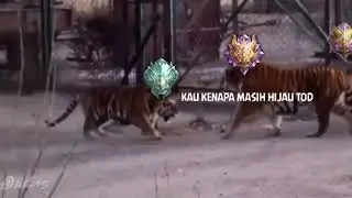 Ketika Glory Bertemu Glory 🗿