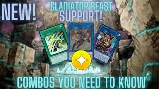 New Gladiator Beast Support! Combos you Need to know!  Yu-Gi-Oh! Duel Links!