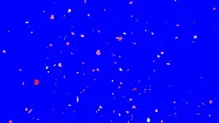 Flower petals falling green screen video effect background