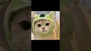 тгк: prostomuka