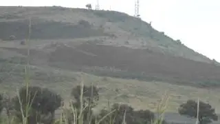 полёт птицы в районе вулкана Текила