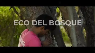 ECO DEL BOSQUE | SHORT FILM