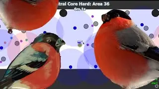 Evades.io Central Core Hard [gameplay]