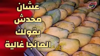 لحظة هجوم المانجا 🥭 واسعار بيعها بالمزادات في مصر 🇪🇬
