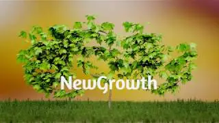 NewGrowth 2.80 edition promo